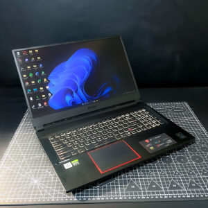 MSI RIDER 17.3